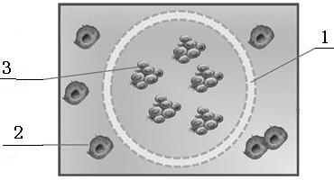 Preparation method and application method of kit for fast testing efficacy of antitumor drug