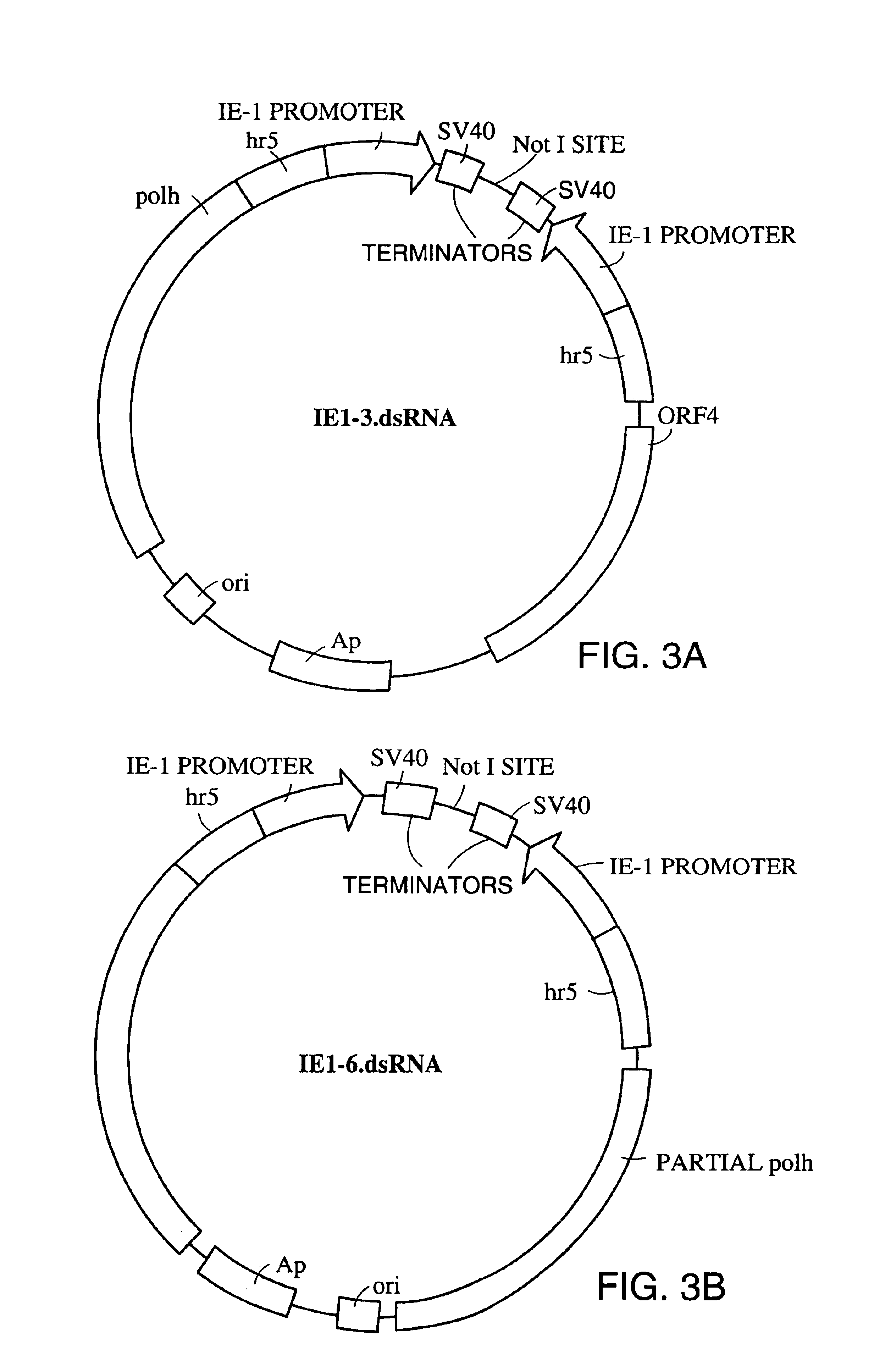 Insect control agent