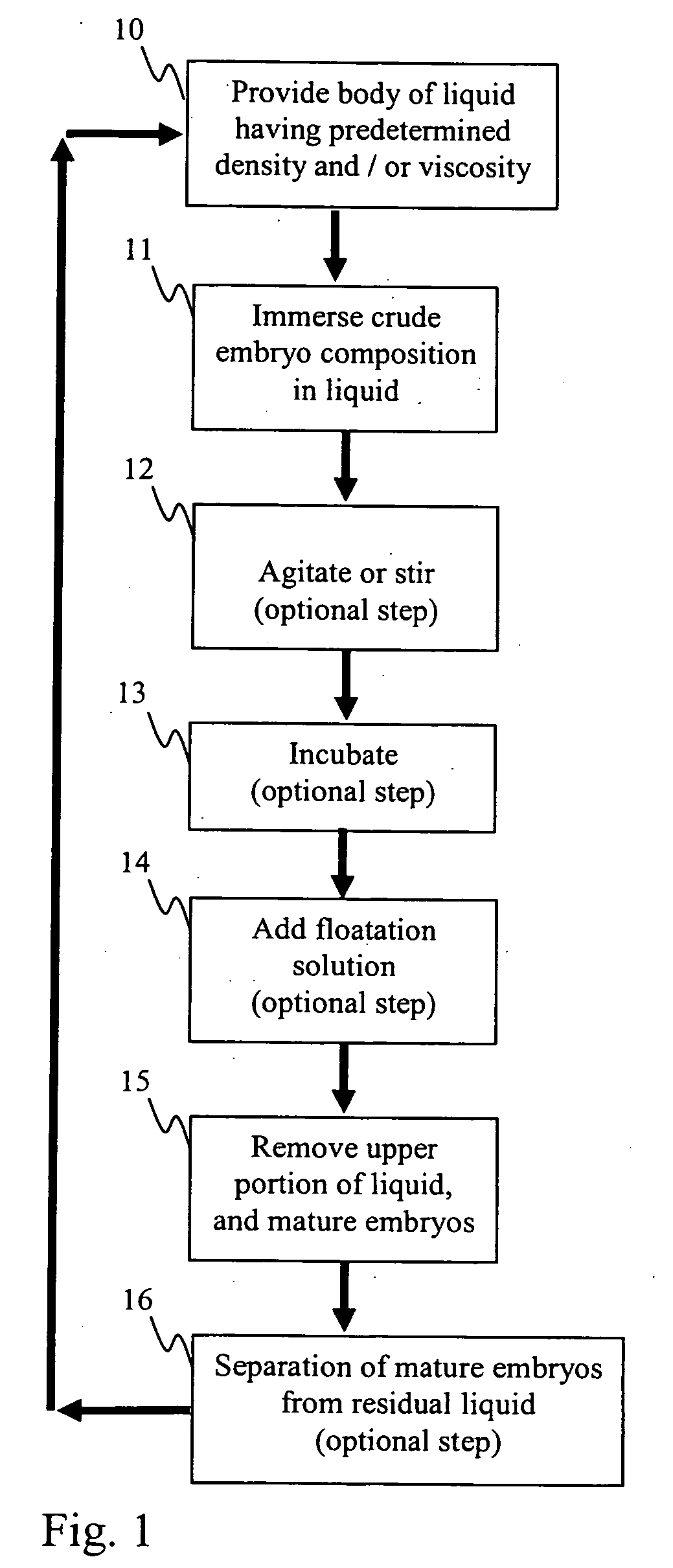 Bulk sorting of conifer somatic embryos