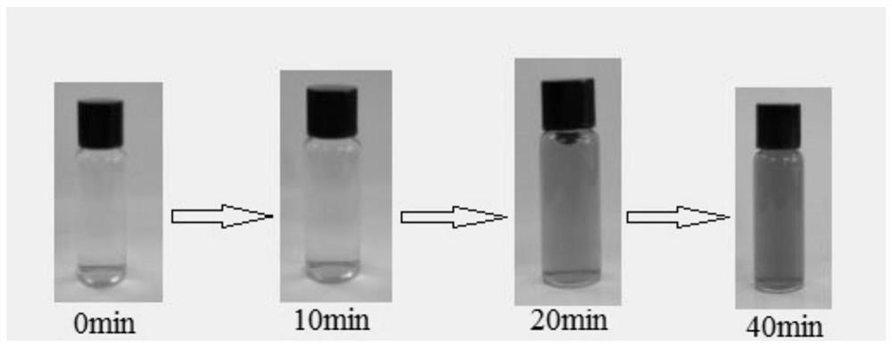 A superhydrophilic/underwater superoleophobic co-deposition coating and preparation method thereof