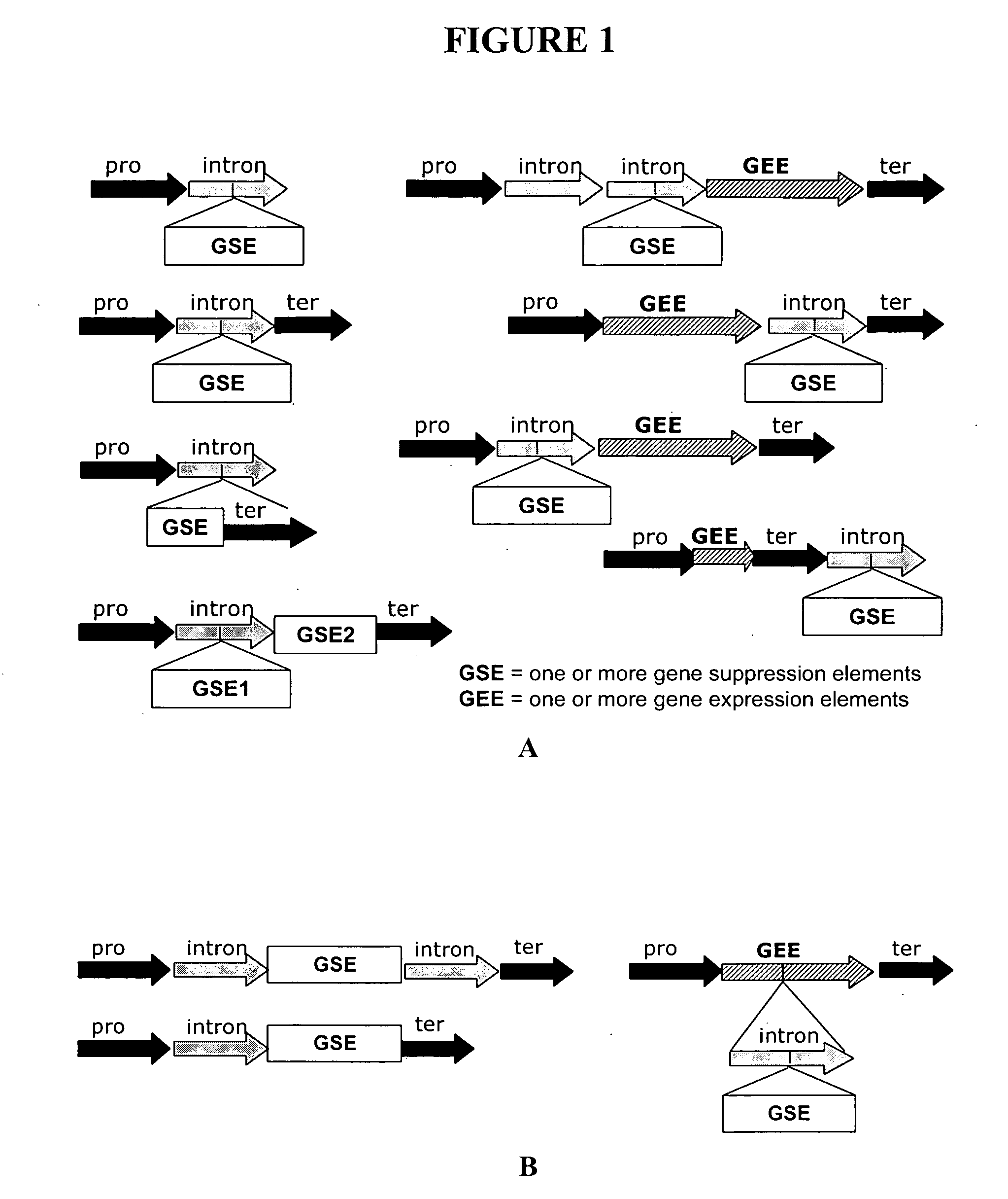 Methods for producing hybrid seed