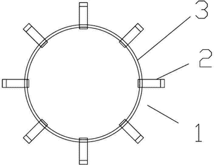 Cage-type spring