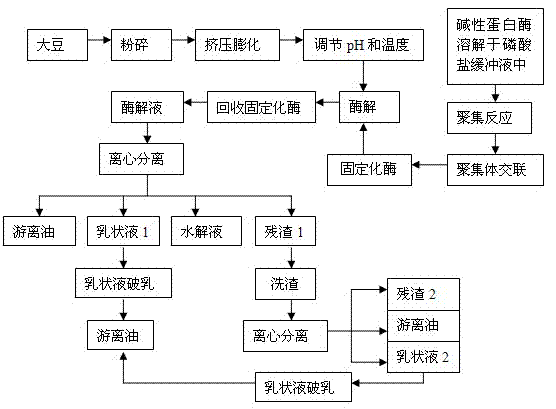 Method for preparing soybean oil through enzymatic hydrolysis of immobilized enzyme