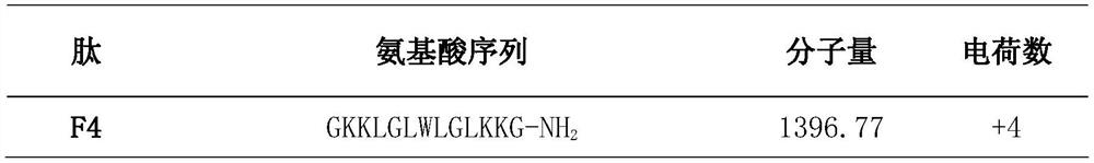 A targeted antibacterial peptide for Gram-negative bacteria, its production method and application