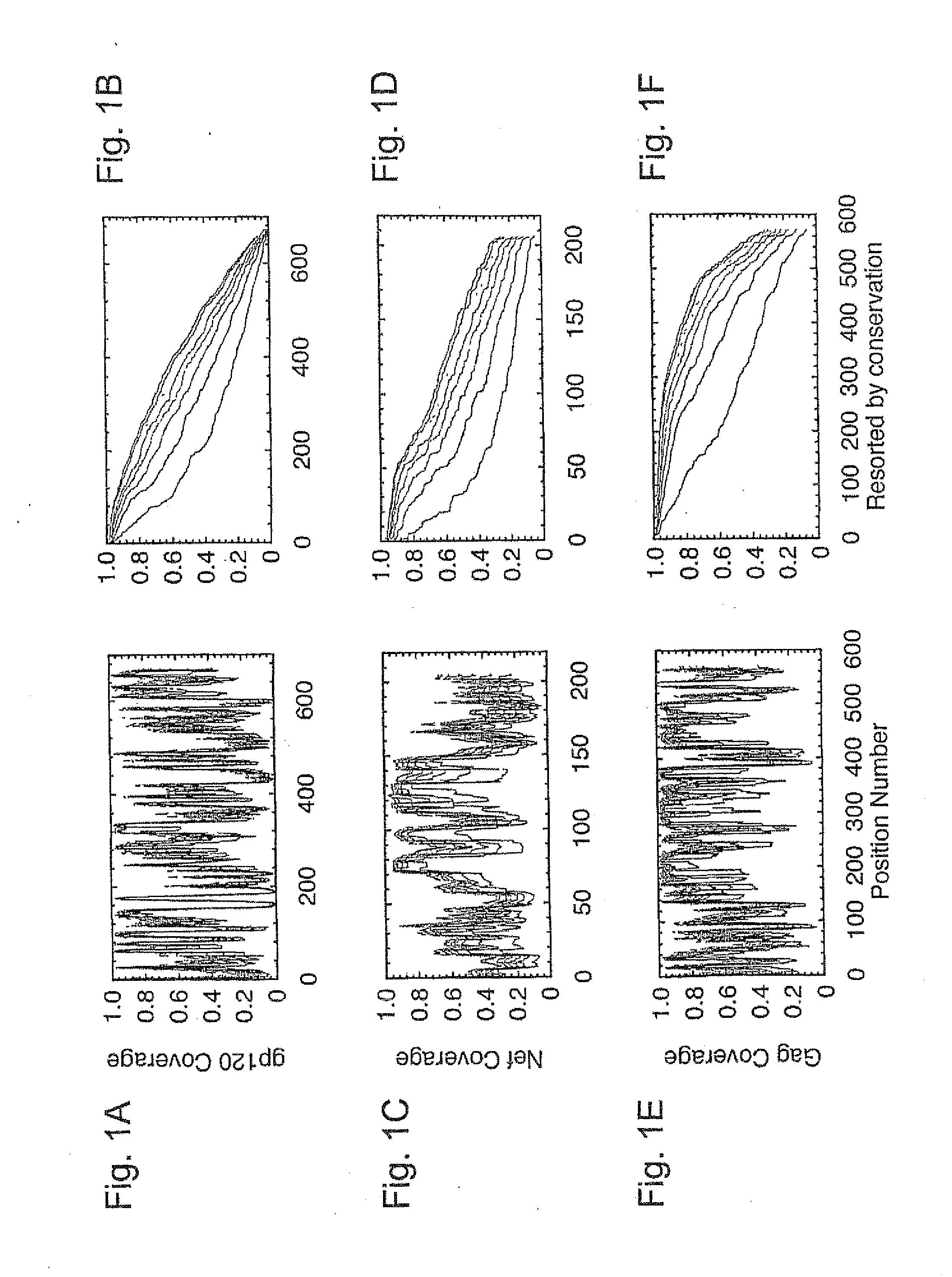 Polyvalent vaccine