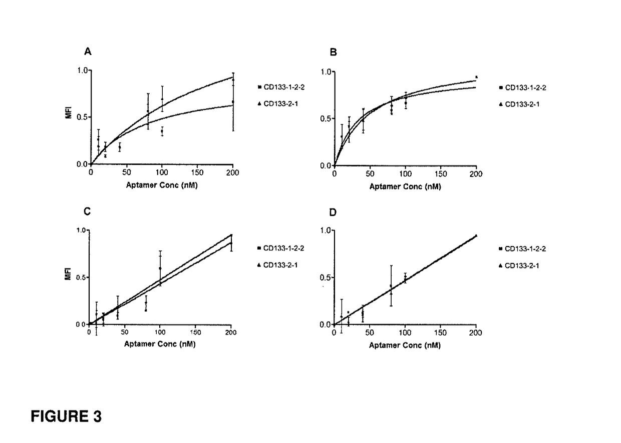 CD133 aptamers for detection of cancer stem cells