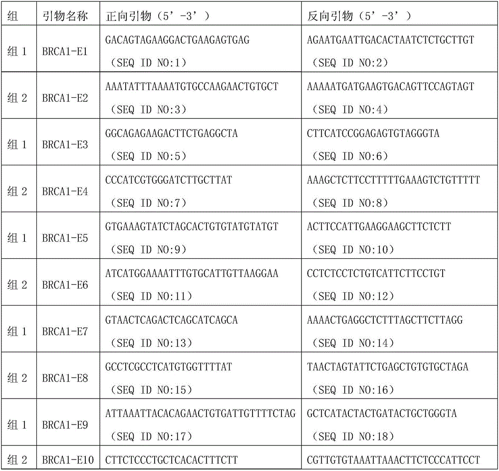 Universal BRCA1 gene multi-PCR (polymerase chain reaction) database creating reagent kit