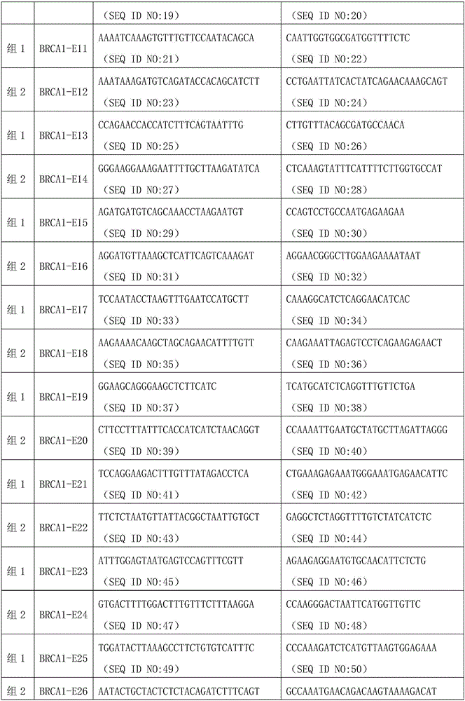 Universal BRCA1 gene multi-PCR (polymerase chain reaction) database creating reagent kit