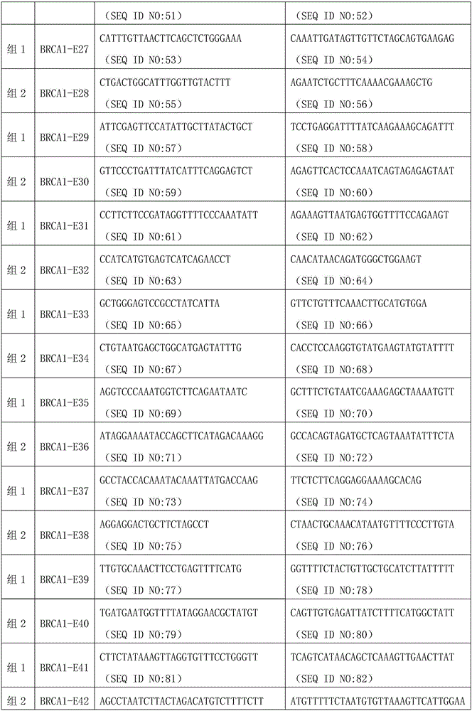 Universal BRCA1 gene multi-PCR (polymerase chain reaction) database creating reagent kit