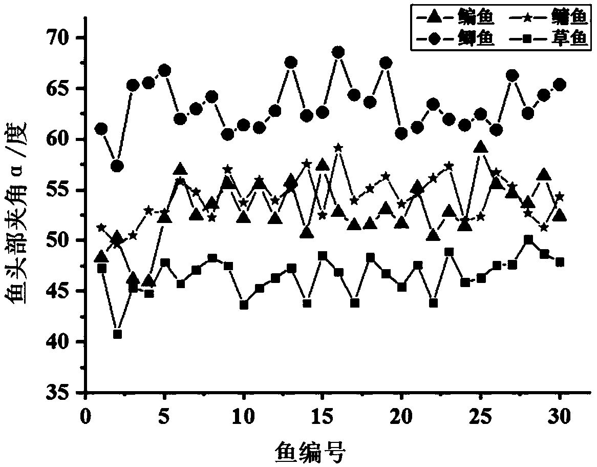 Method for automatically identifying species of common freshwater fish based on images