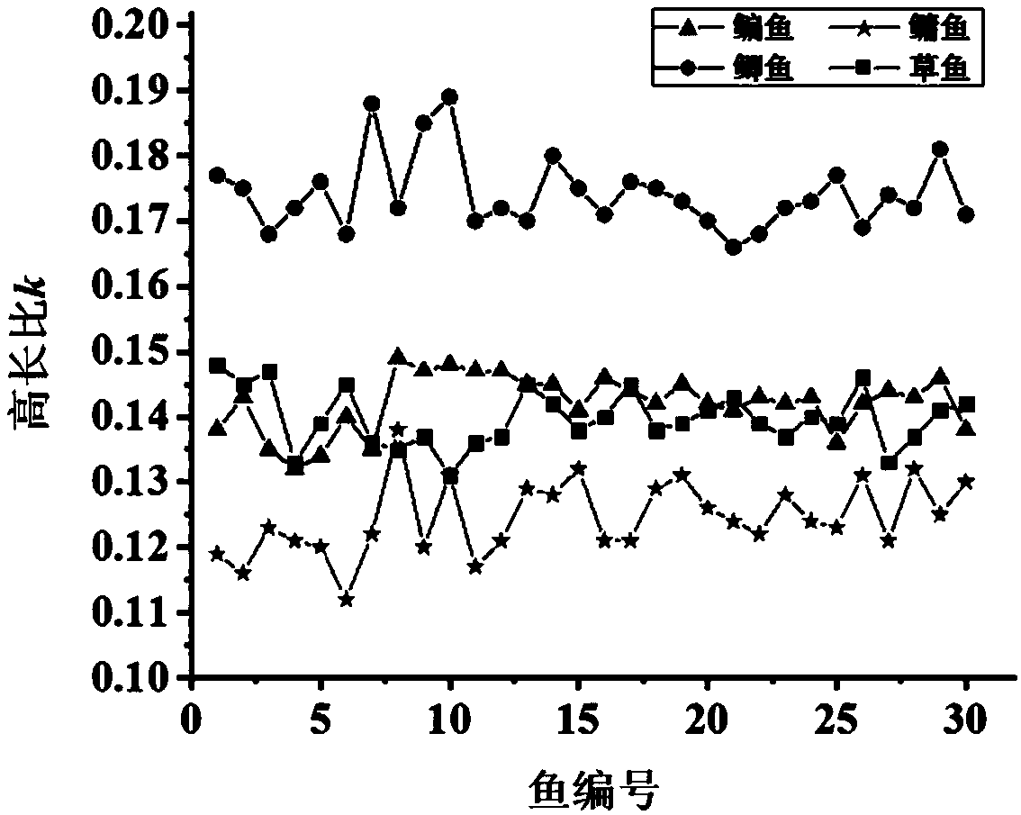 Method for automatically identifying species of common freshwater fish based on images