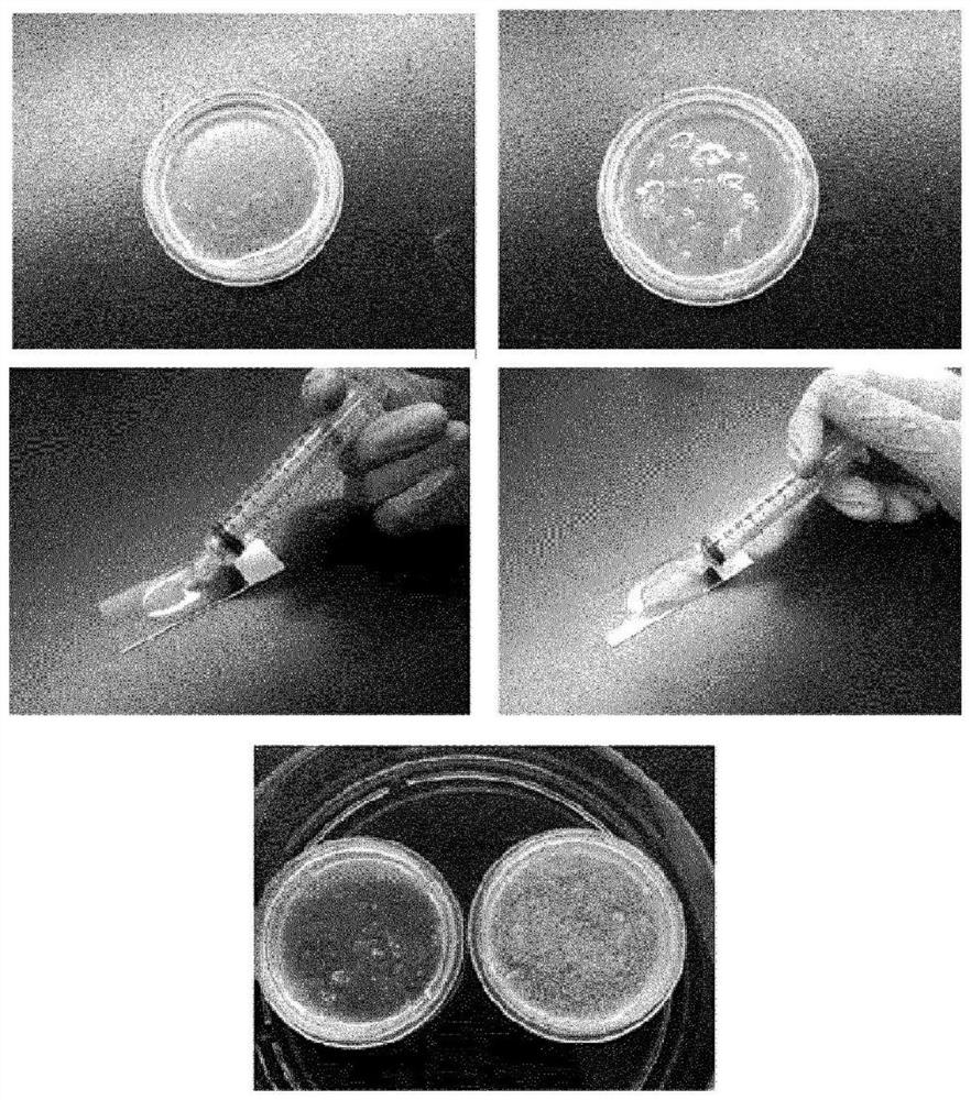 Composite biomaterial