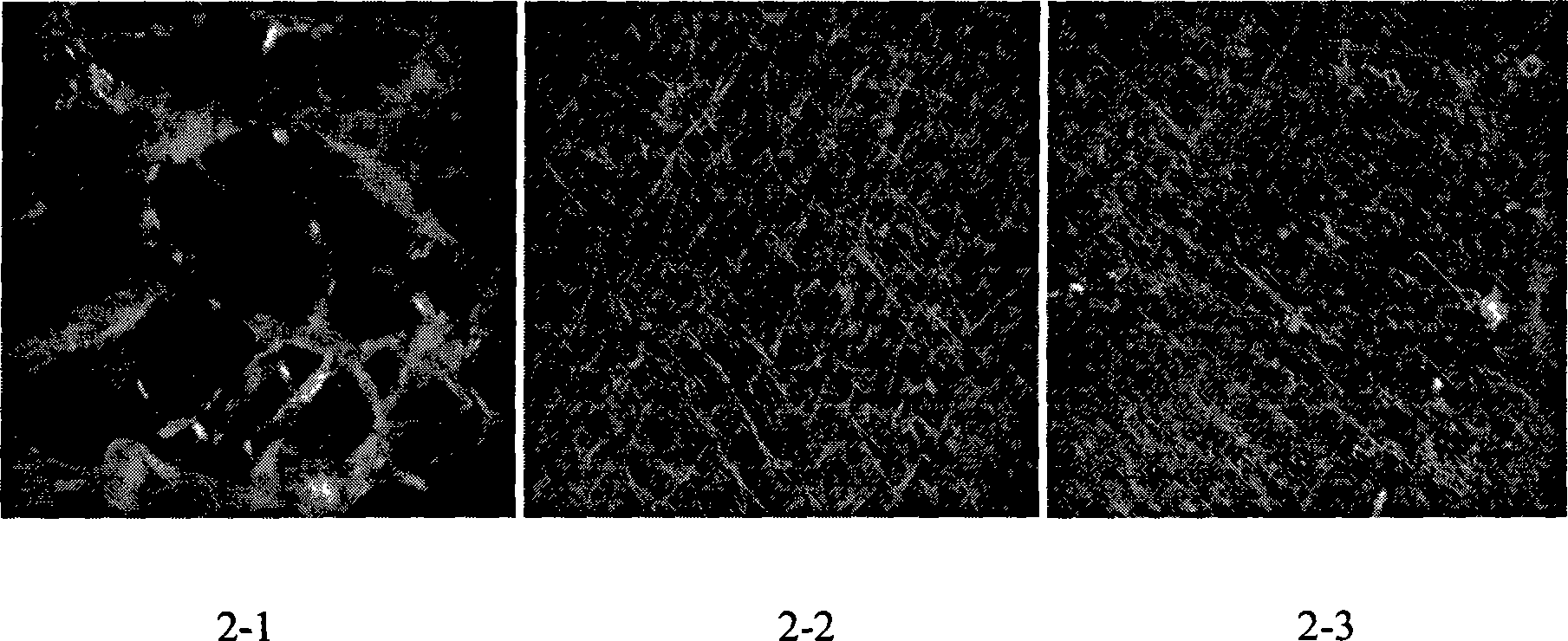 Method for fast choosing technological condition for preparing nanometer medicine-loading fibre felt by electro spinning