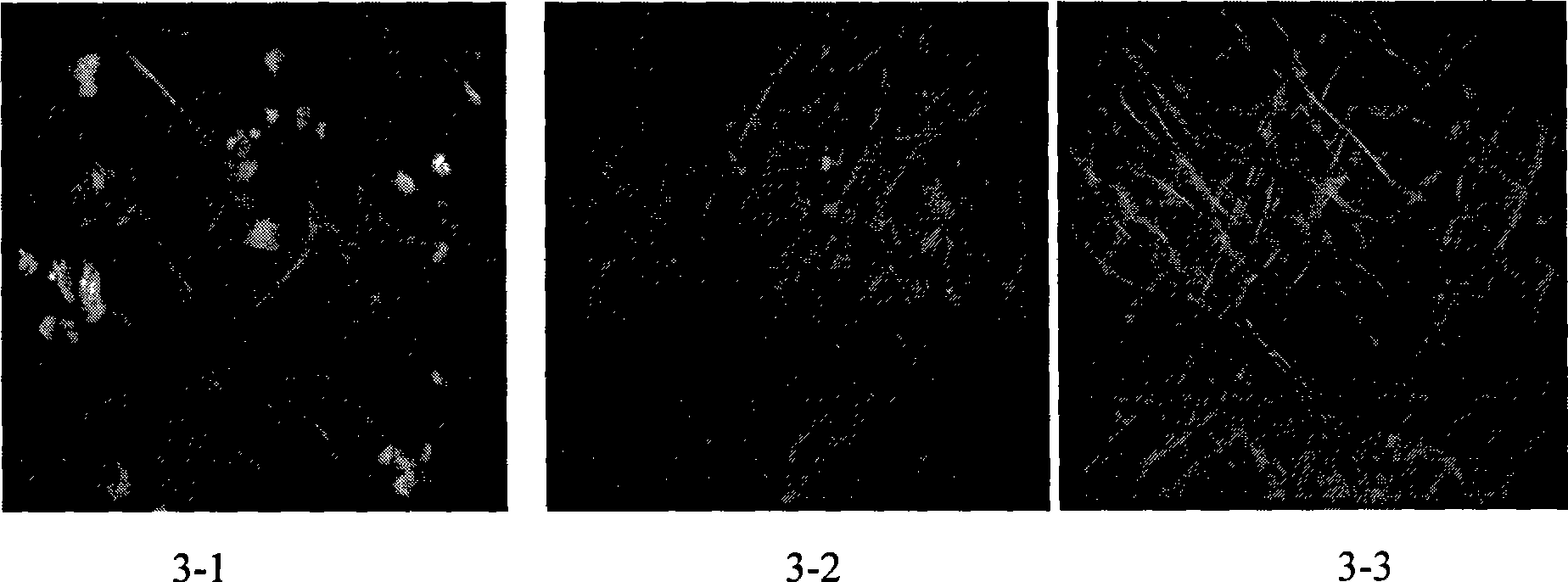 Method for fast choosing technological condition for preparing nanometer medicine-loading fibre felt by electro spinning