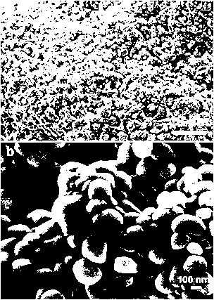 Method for preparing CoSb3 nanometer particle film