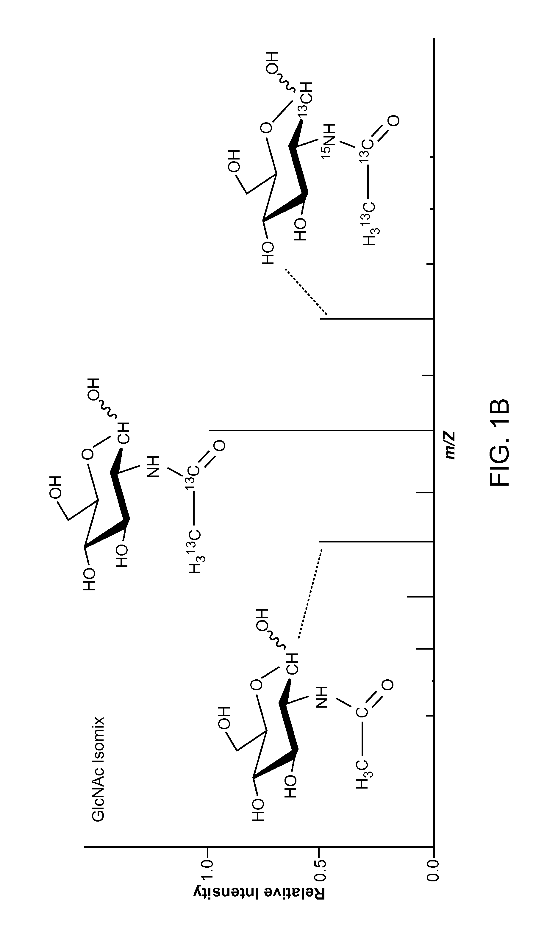 Isotopic recoding for targeted tandem mass spectrometry