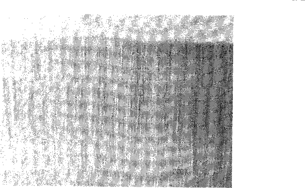 Preparation method for regularly electrostatic spinning hollow fibre