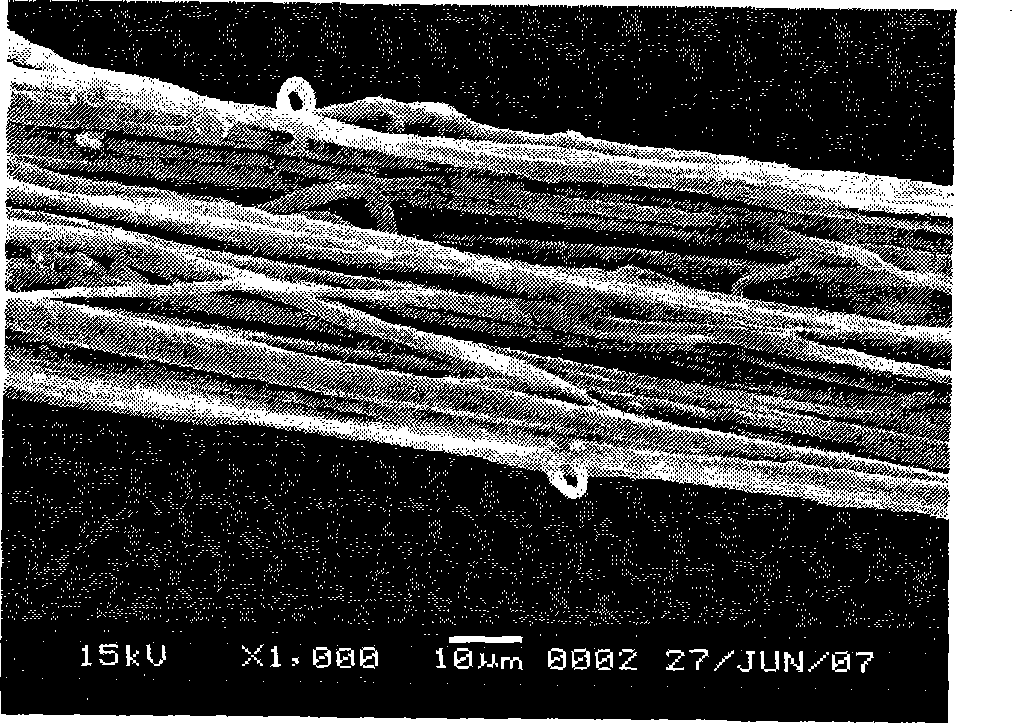 Preparation method for regularly electrostatic spinning hollow fibre