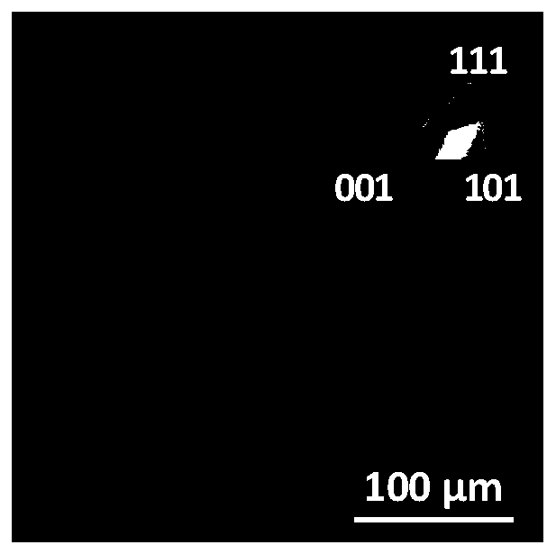 A kind of preparation method of large size single crystal copper foil