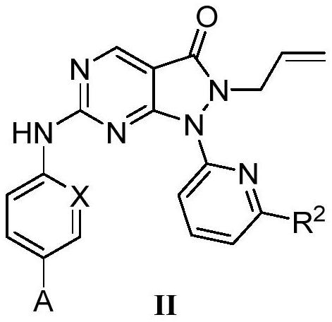 Pyrazolone-fused pyrimidine compound as well as preparation method and application thereof