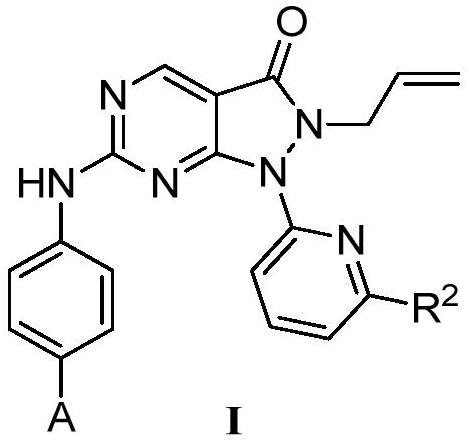 Pyrazolone-fused pyrimidine compound as well as preparation method and application thereof