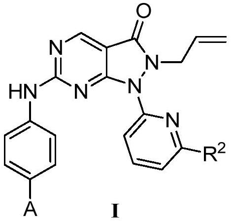 Pyrazolone-fused pyrimidine compound as well as preparation method and application thereof