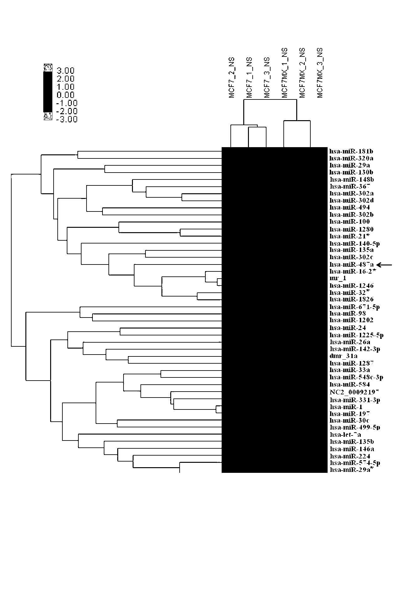 Method for reversing drug resistance of breast cancer by using miR-487a