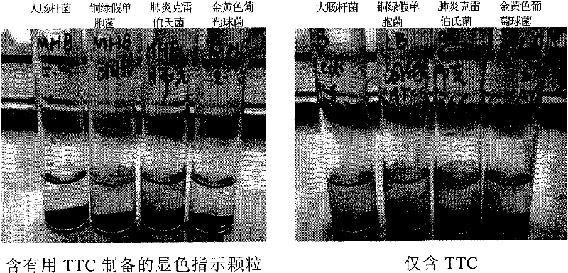 A color-developing particle indicating microbial growth and its preparation method