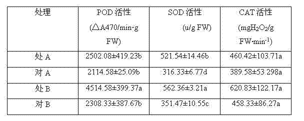 Method for improving winter resistance of turf by adopting garbage compost filtrate