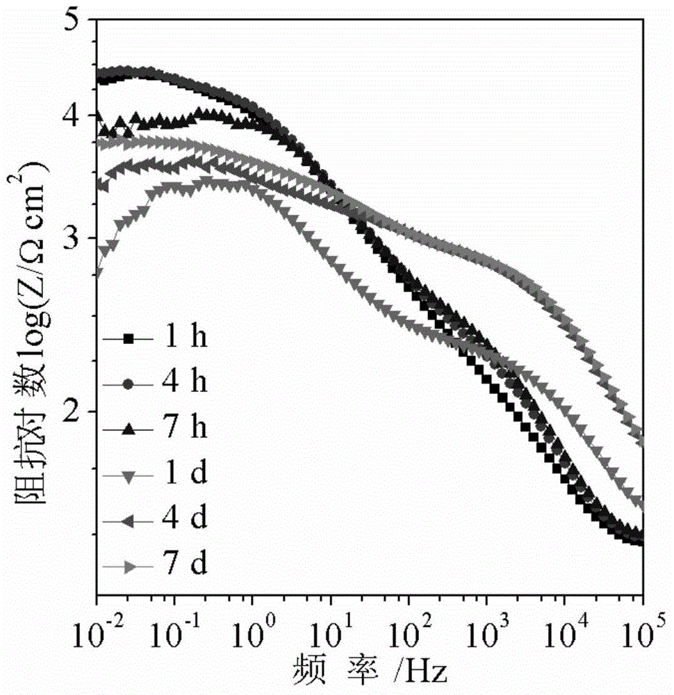 Metal surface treatment method based on chitosan and mussel adhesion protein composite membrane