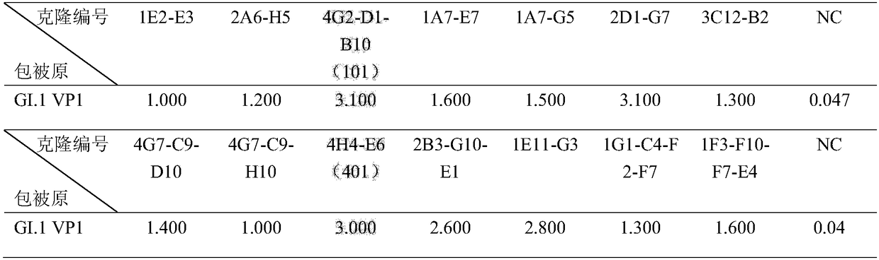 Antibody capable of realizing specific binding with norovirus GI.1 gene type VP1 protein and/or VLP, and preparation method and applications thereof