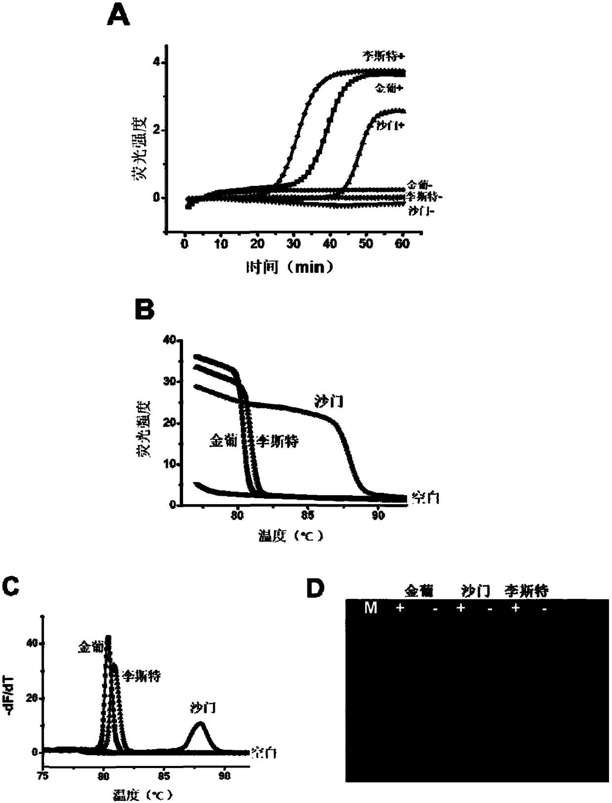 HRM (high resolution melt)-based multiplex LAMP (loop mediated isothermal amplification) detection method and kit