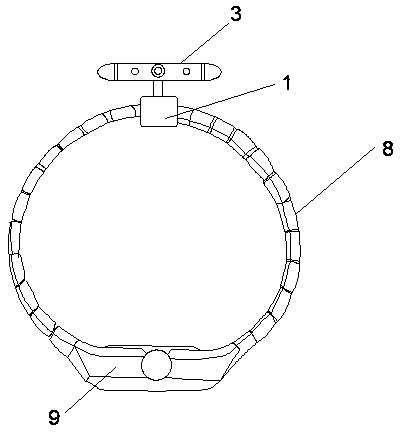 Intelligent projection watch strap ring