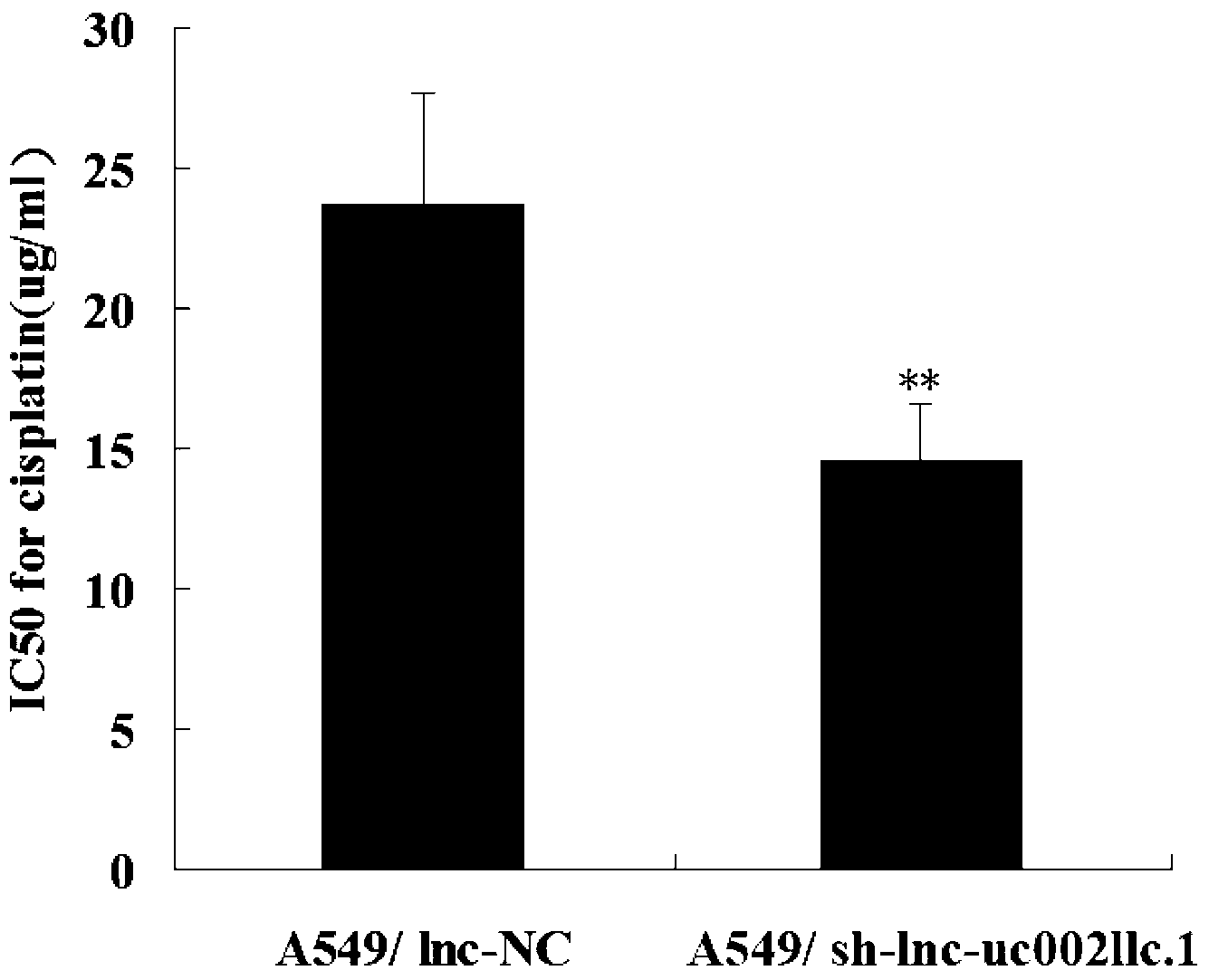 Application of long-chain non-coding RNA in preparation of non-small cell lung cancer treatment drugs