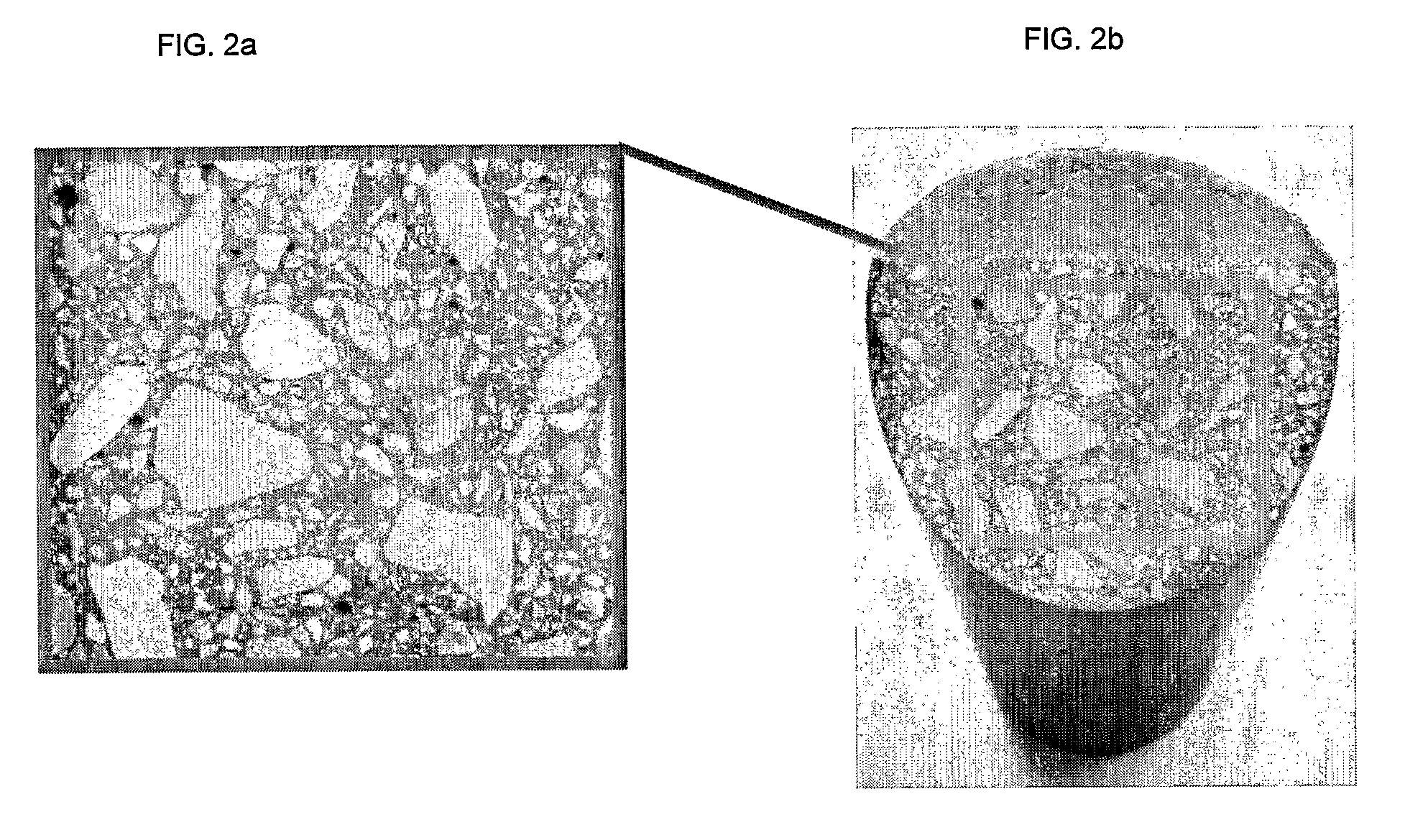 Universal hydraulic binder based on fly ash type F