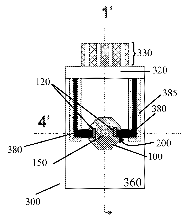 Specimen mount for microscopy