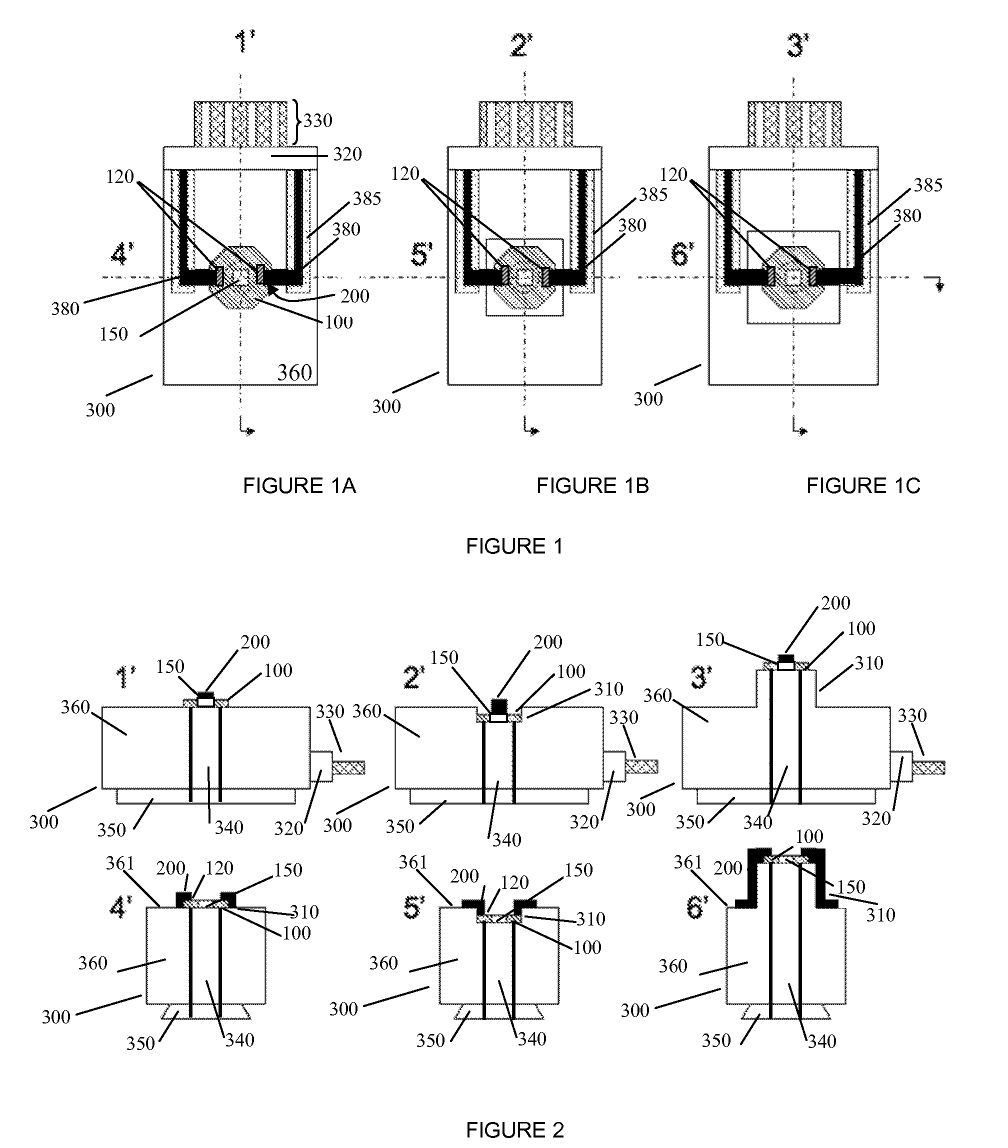 Specimen mount for microscopy