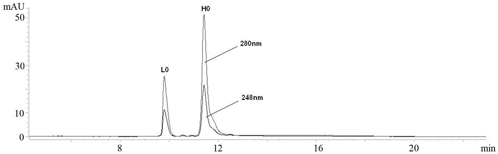 Anti-CD20 monoclonal antibody-aplysiatoxin conjugate as well as preparation method and application thereof