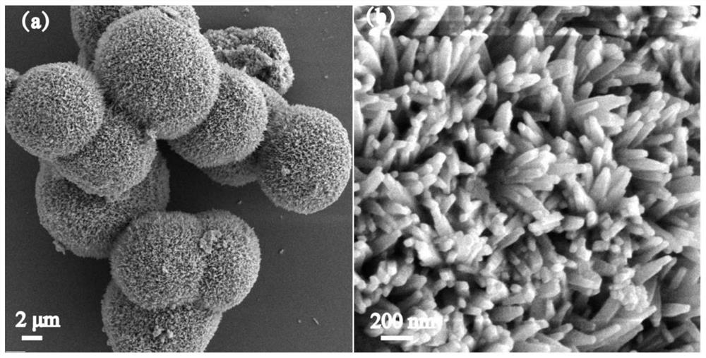 A kind of double metal selenide material wrapped in graphene and its preparation method and application