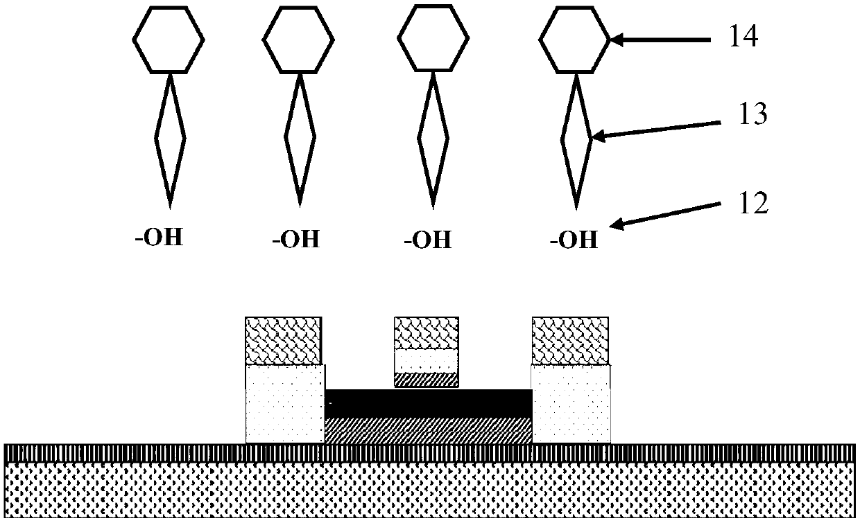 A MOS tube-based dual-gate regulated ultra-high sensitivity biosensor