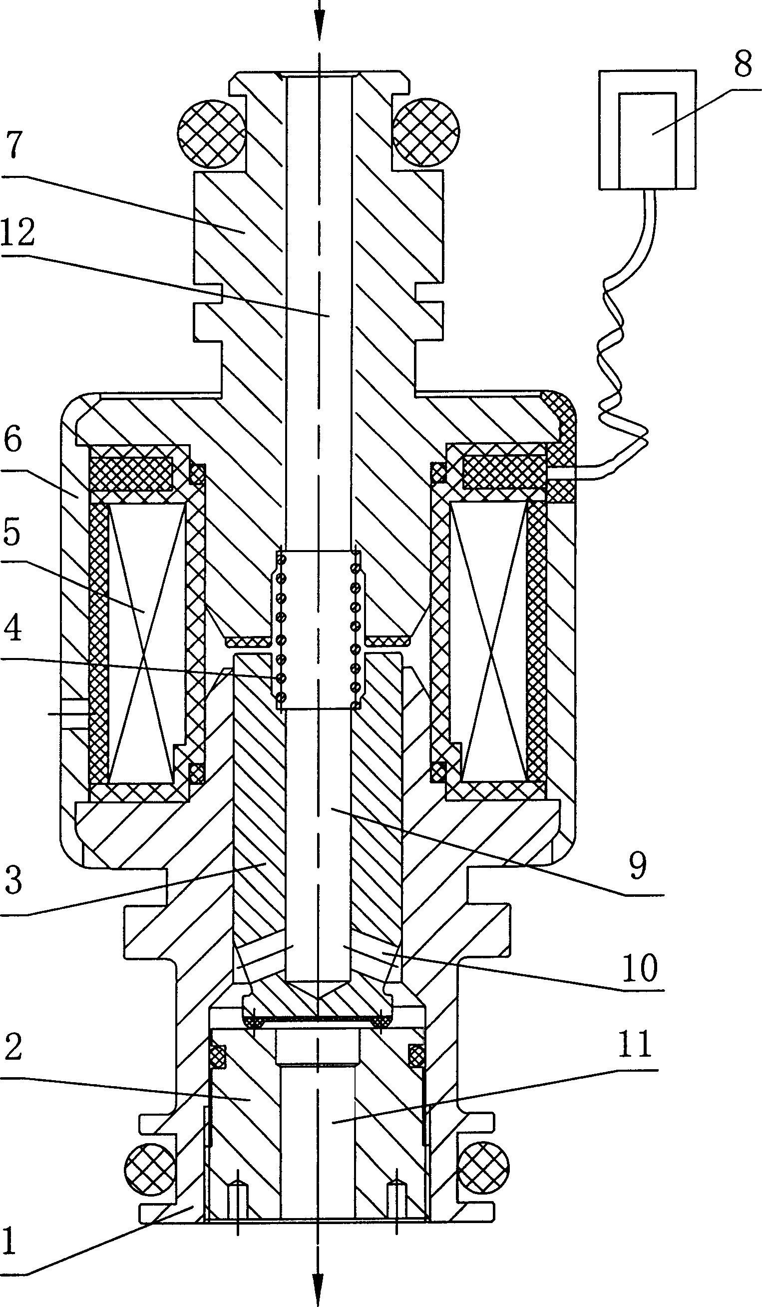 Compressed natural gas injector