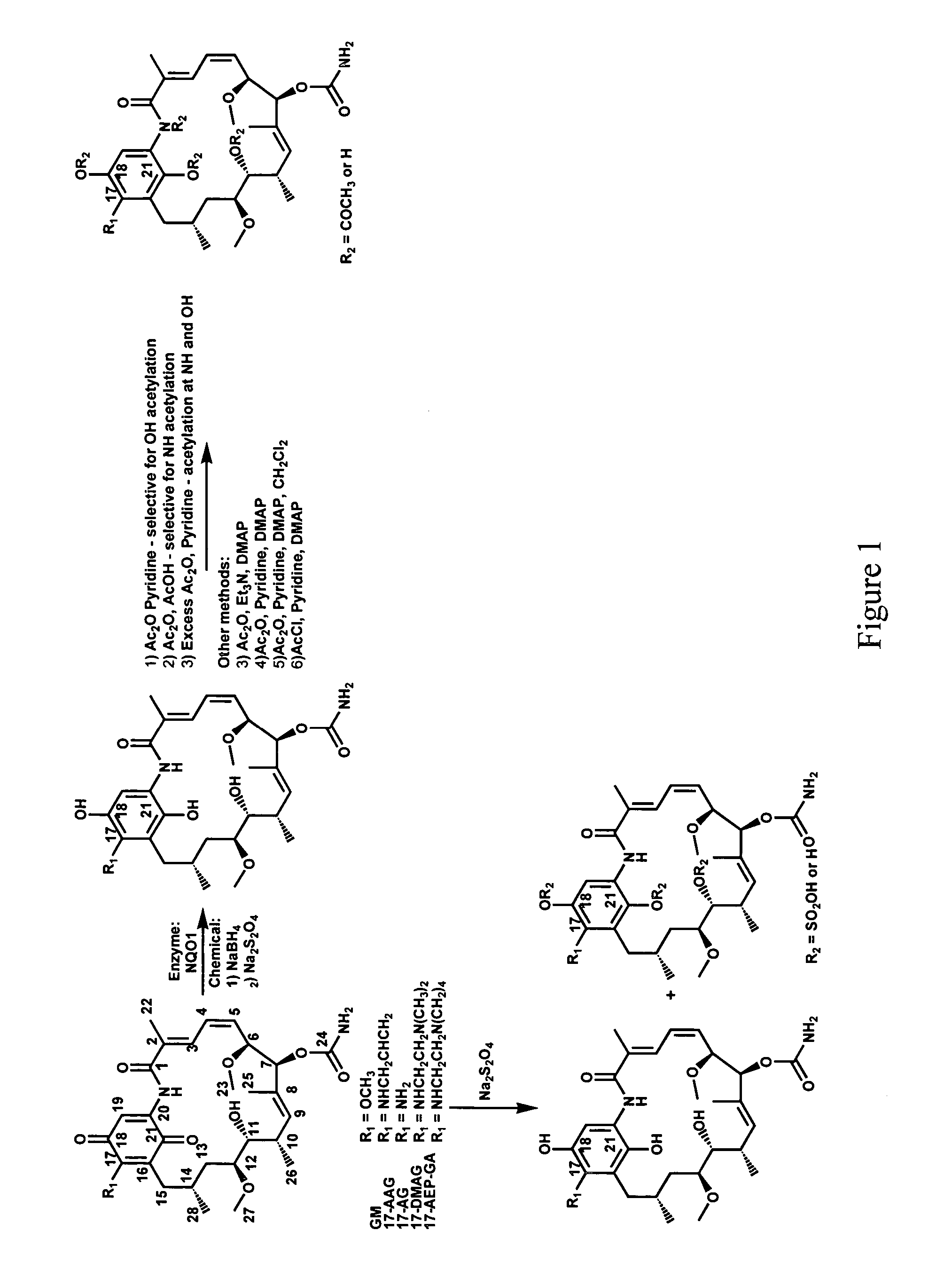 Hsp90 inhibitors, methods of making and uses therefor