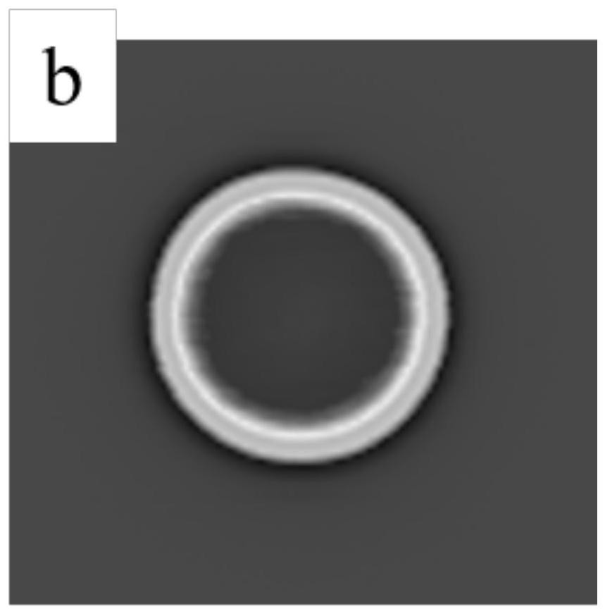 Laser scanning device and scanning method capable of changing the size and morphology of light spot at laser focus position