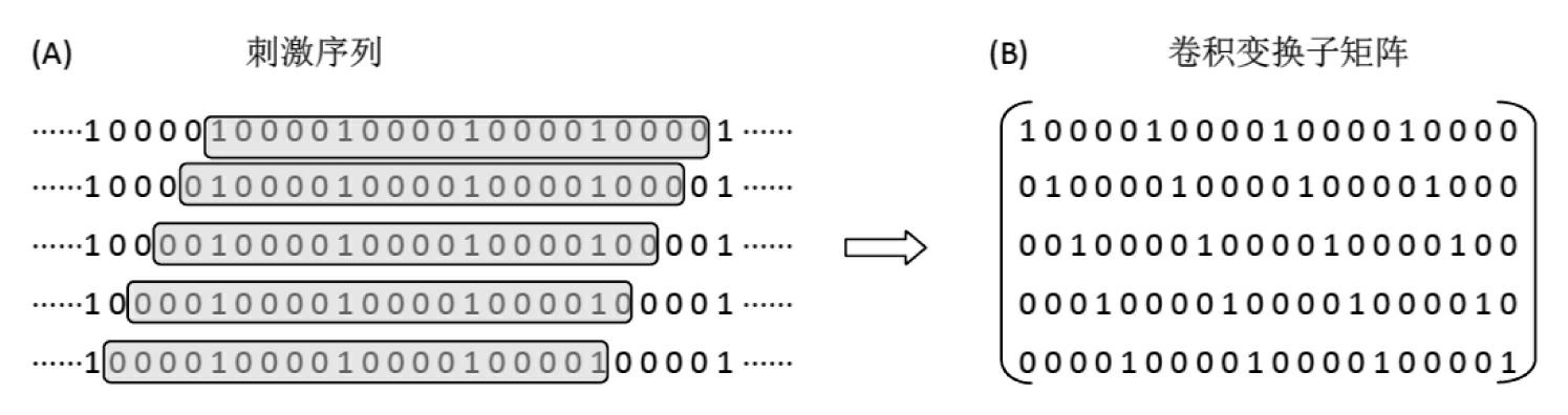 Deconvolution method for extracting evoked potential at high stimulation ratio