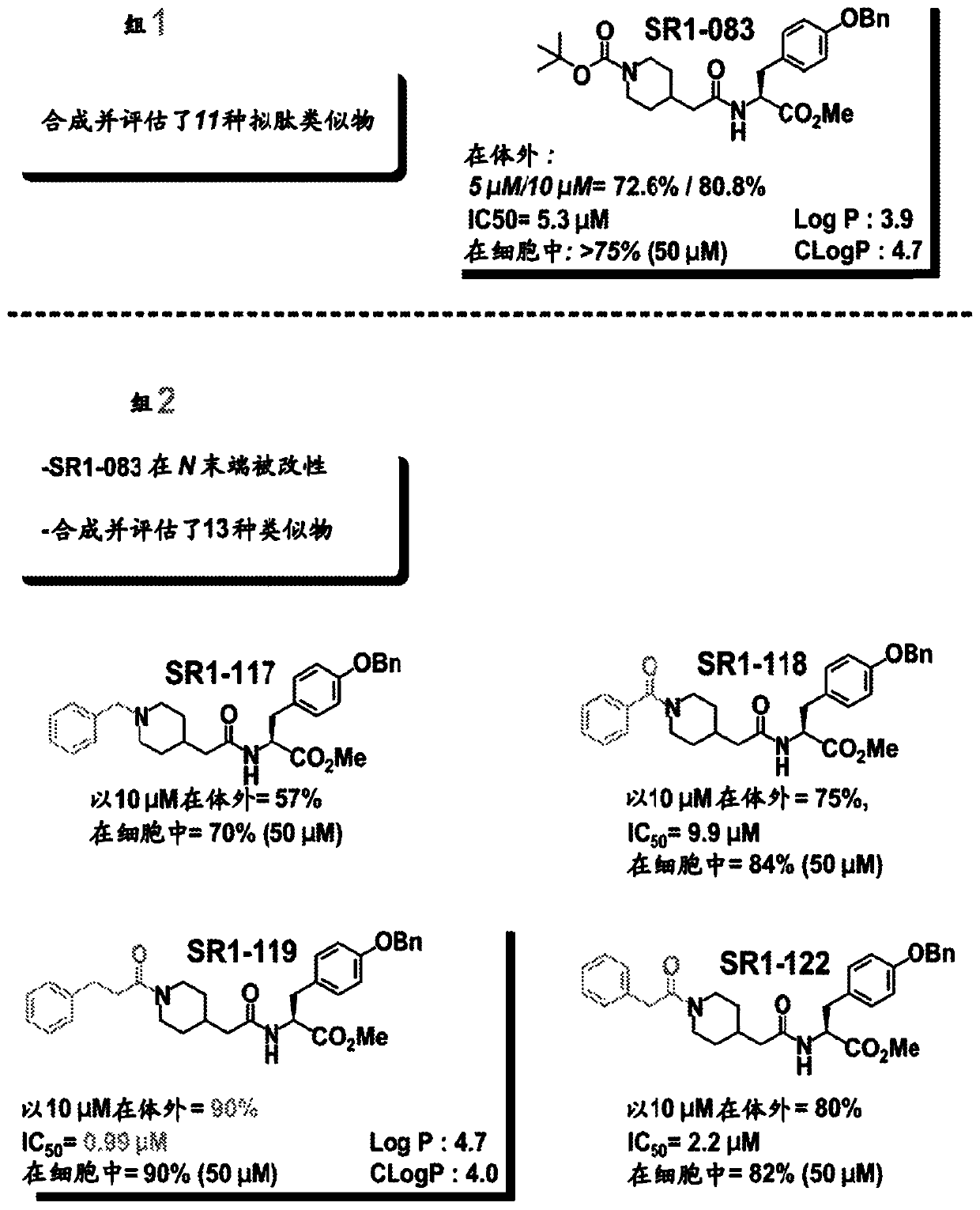 Yap1 inhibitors that target the interaction of yap1 with oct4