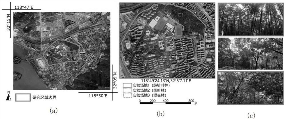 Forest stand radiation flux calculation method based on point cloud data and computer graphics