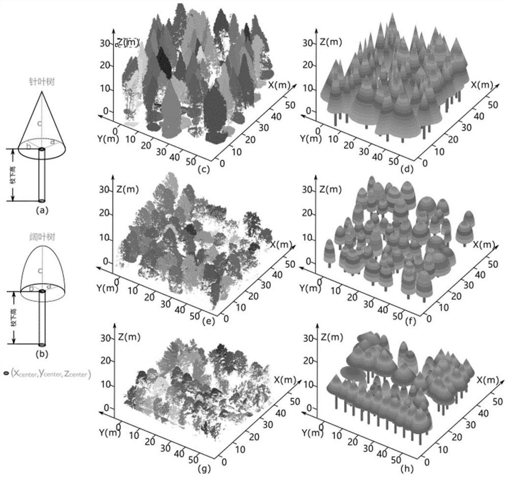 Forest stand radiation flux calculation method based on point cloud data and computer graphics