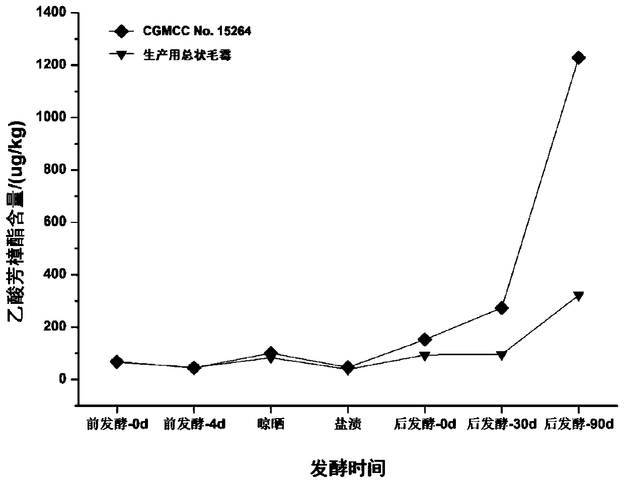 A kind of Mucor racemosus with high yield of linalool and linalyl acetate and its application