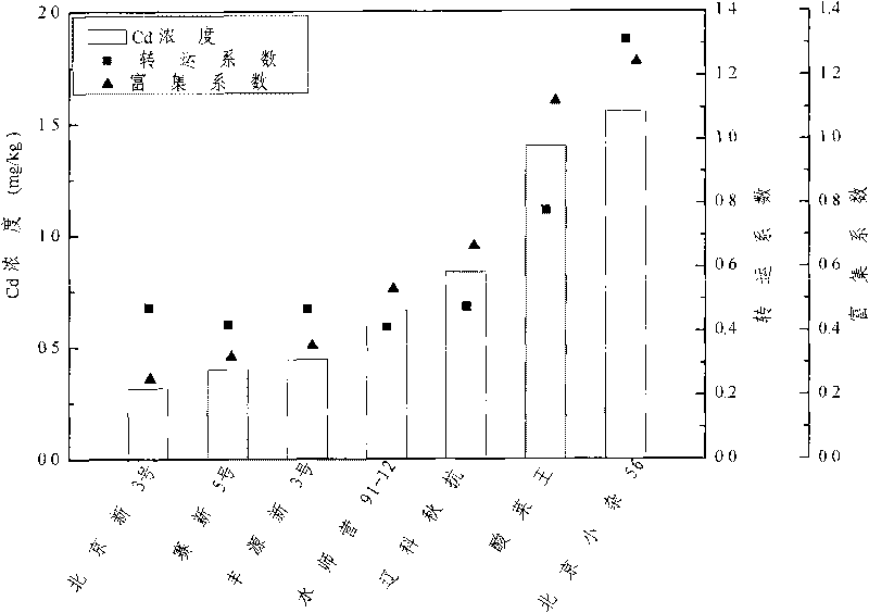 Method for selecting crop varieties with low heavy metal accumulation