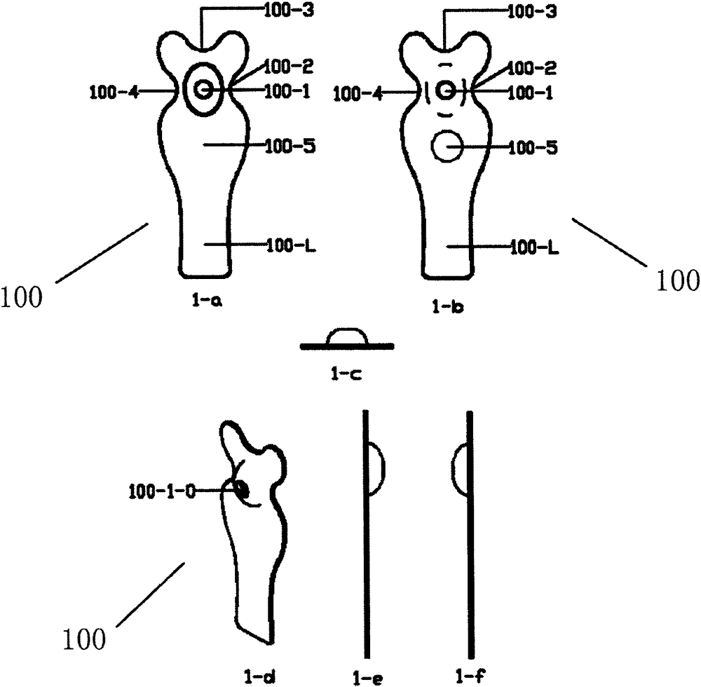 Tongue muscle active exercise training apparatus